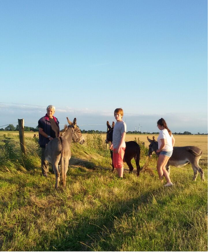 Eselspaziergang